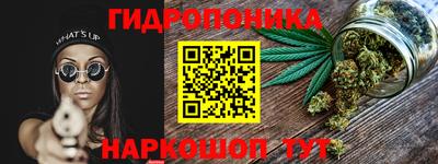 СК Кингисепп