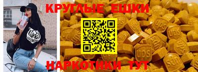 СК Кингисепп
