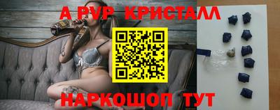 СК Кингисепп