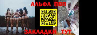 СК Кингисепп