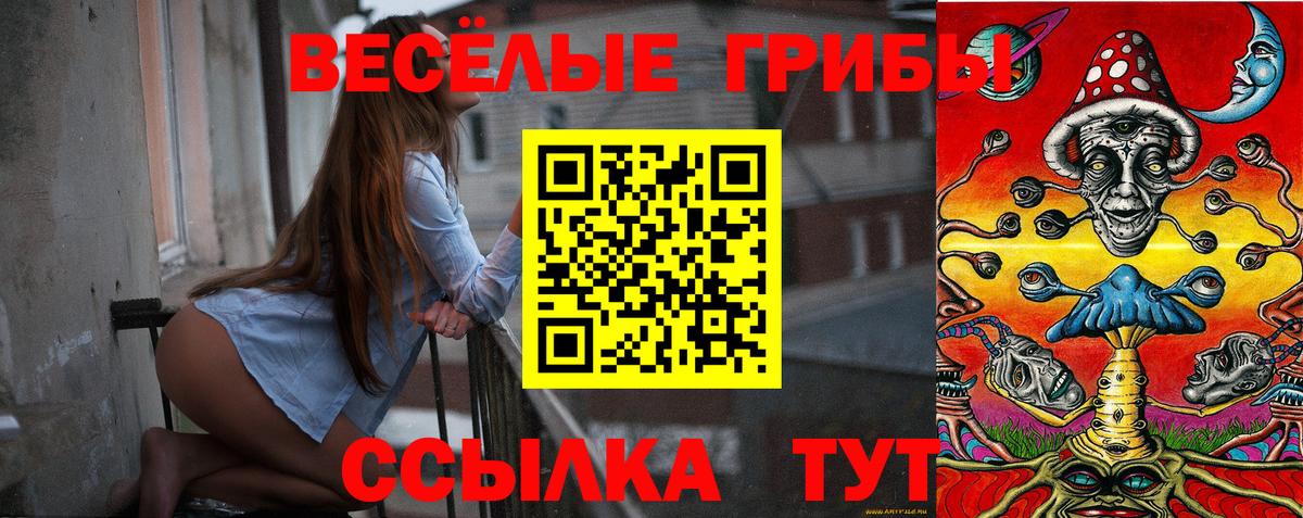 Псилоцибиновые грибы мицелий Красноуфимск