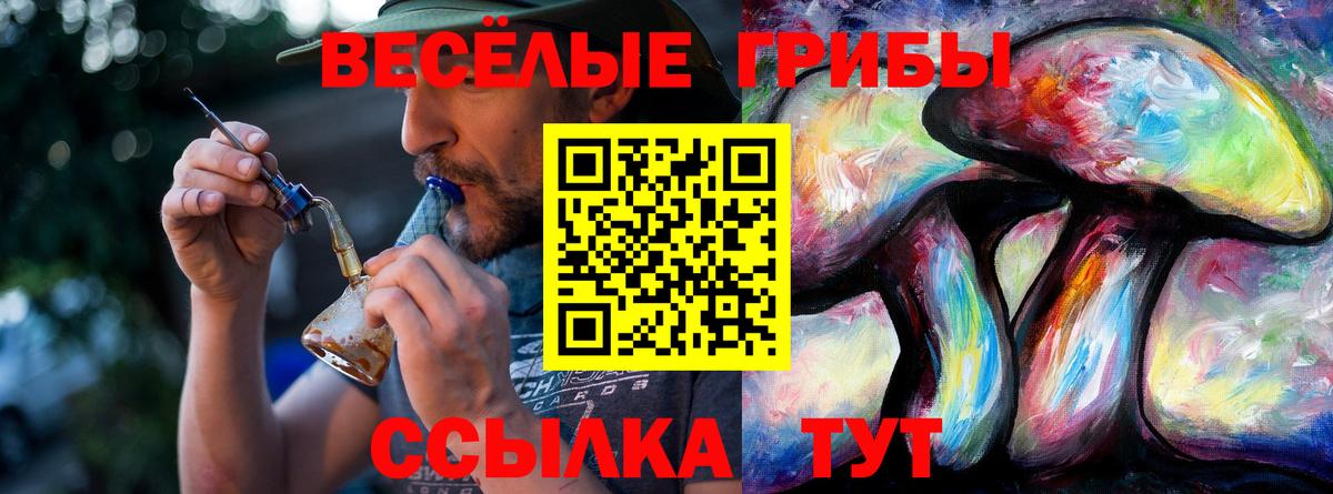 Красноуфимск  как найти   Вход с VPN  Галлюциногенные грибы Cubensis 